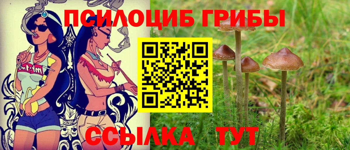 Златоуст  Галлюциногенные грибы мицелий  Вход с VPN  Псилоцибиновые грибы мицелий 