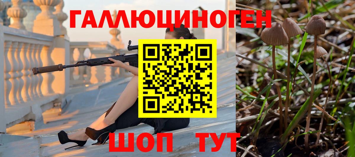 Псилоцибиновые грибы прущие грибы Златоуст